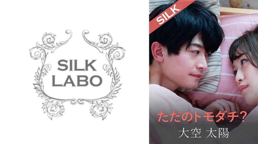 220SILKS-104ただのトモダチ