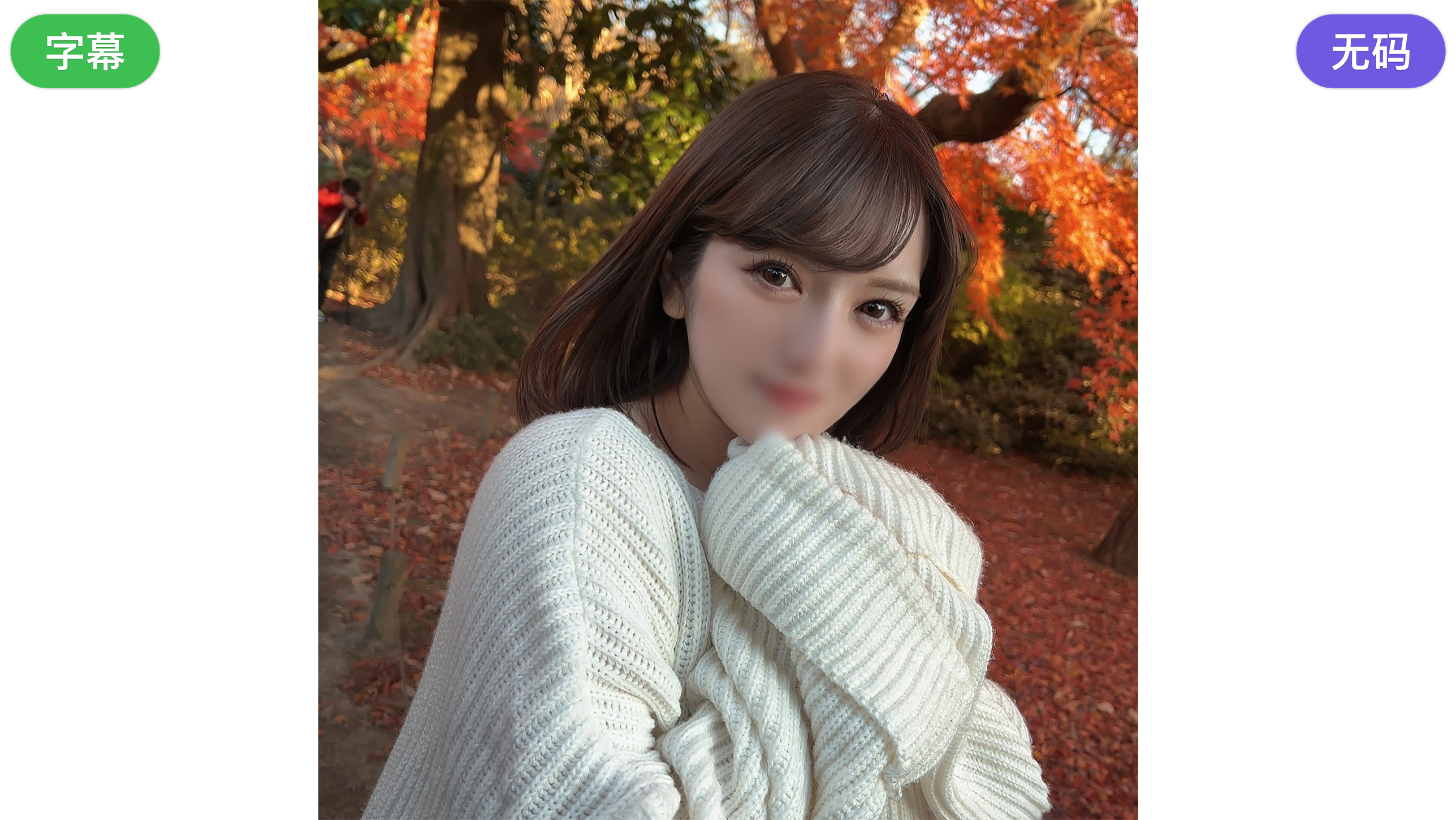 FC2-4165374-C完全顔出しラスト作品