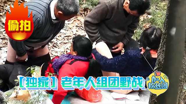 独家老年人组团野战被偷拍z1tiktok