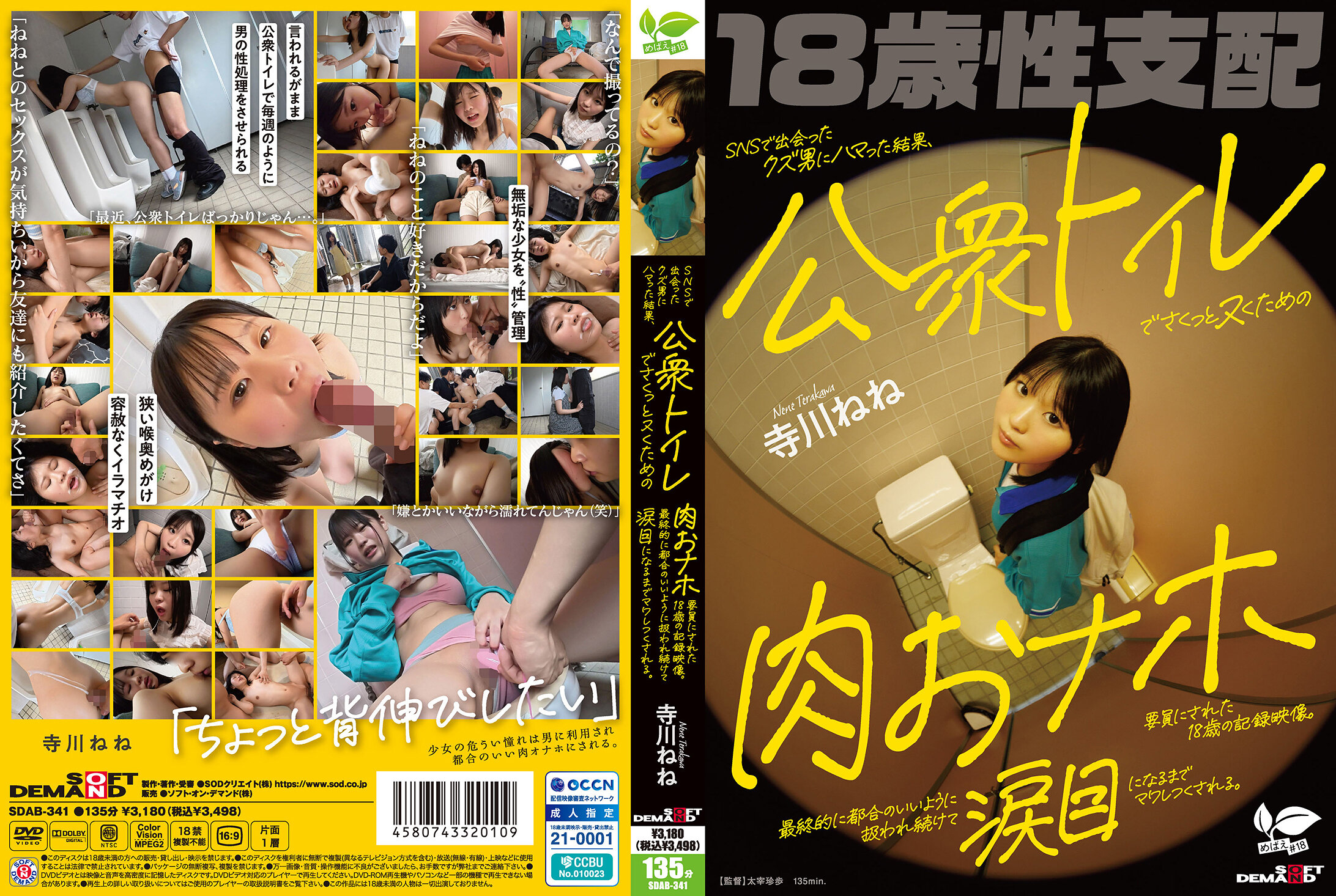 SDAB-341SNSで出会ったクズ男にハマった結果公衆トイレでさくっとヌくための肉おナホ要員にされた18歳
